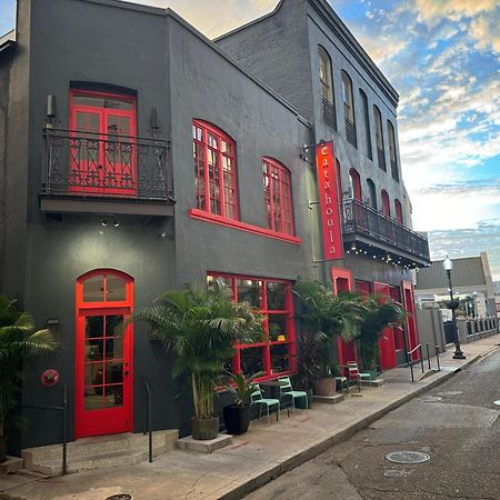 Catahoula Hotel New Orleans Eksteriør bilde